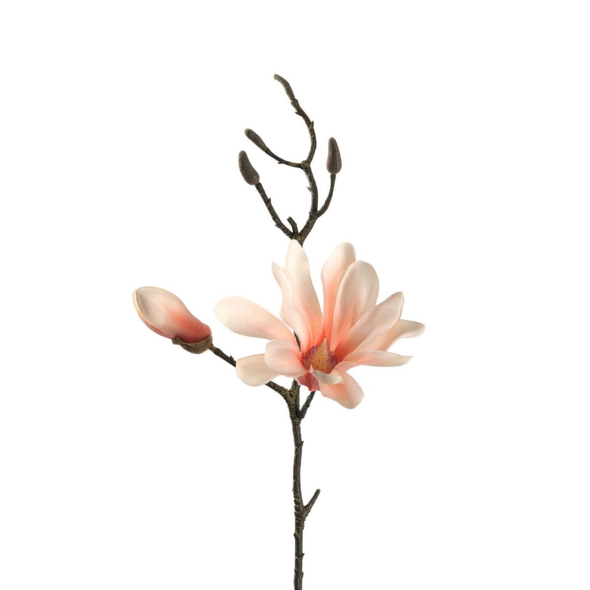 null H 002.xxl3  1200x1200 - Floare decorativă Magnolia apricot fine 42 cm (L031598)