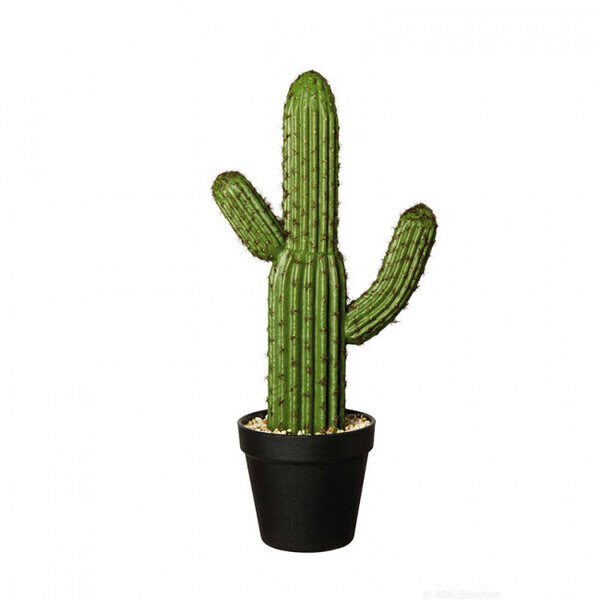 asa selection dekorativen kaktus plastmasa 41sm 66215444 image 609ebcea82b6f 600x600 600x600 - Decor Cactus Asa Selection (66215444)