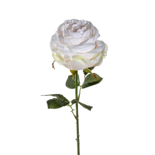 018687 0 K 700x 600x600 - Poesia Floare decorativă Rose 39 cm (L018686)