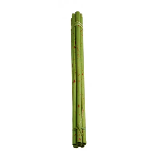 11875000 top 600x600 - Asa-Selection Deko Papyrus medium green set din 6, h.80 cm(11875000)