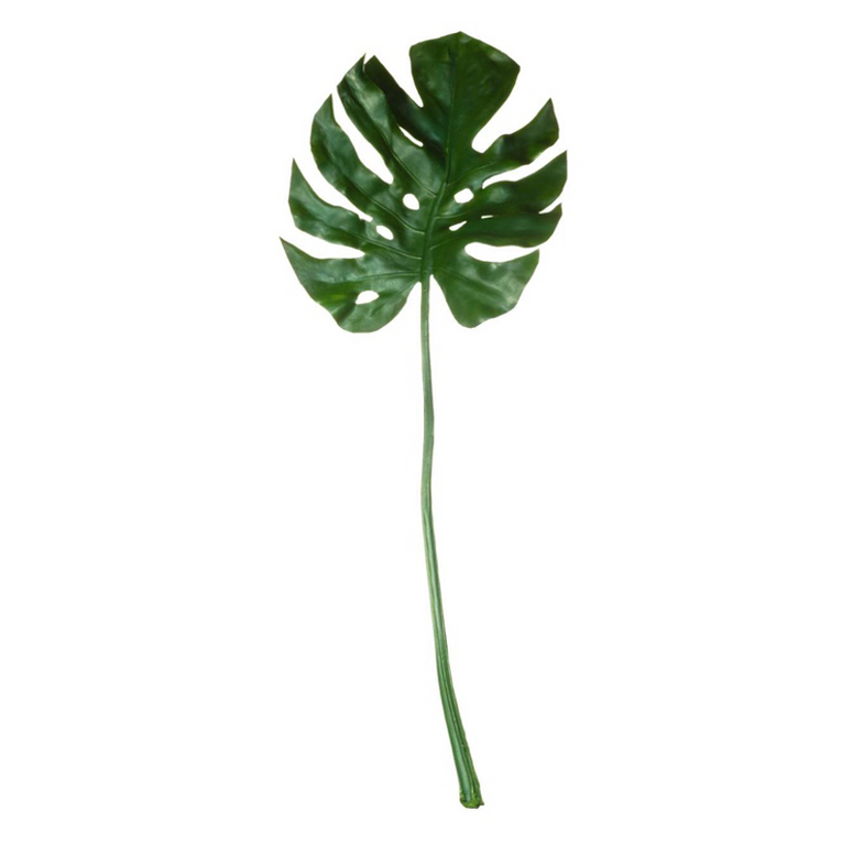 asa 66638444 - Asa-Selection Deko philodendron leaf, l.83 cm (66638444)